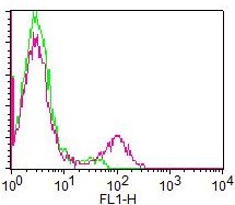 Monoclonal Antibody to Human CD19 (Clone: CB19) FITC Conjugated